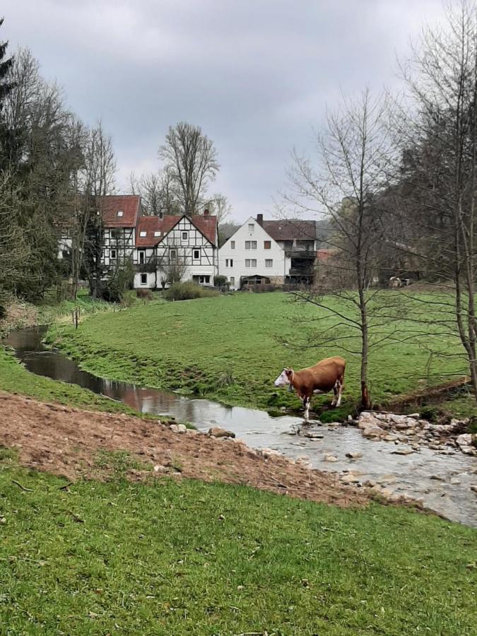 Haus An Der Werbe Apartman Waldeck  Kültér fotó